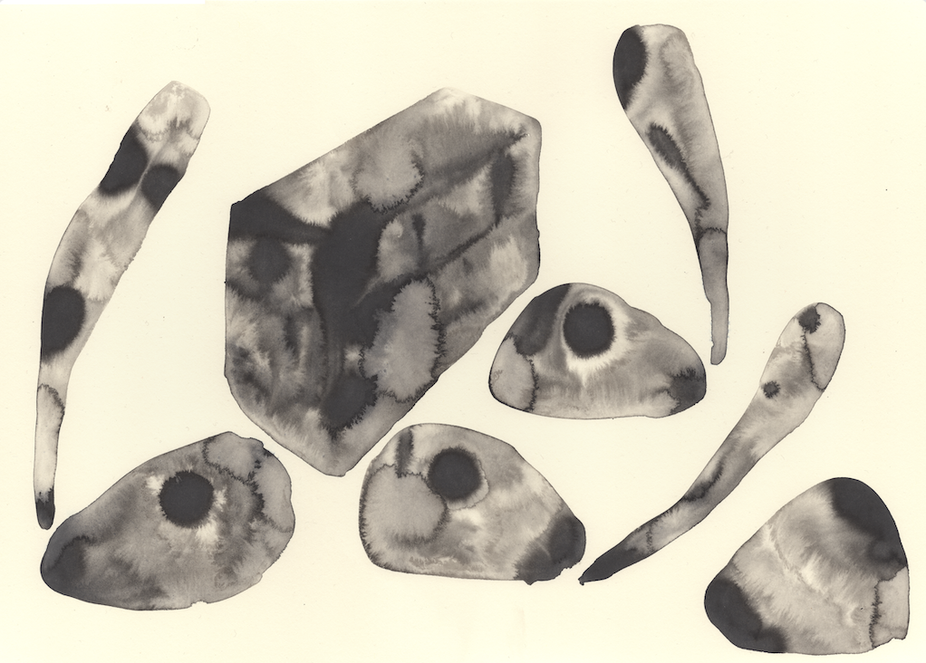 drawing by Marie Vermont