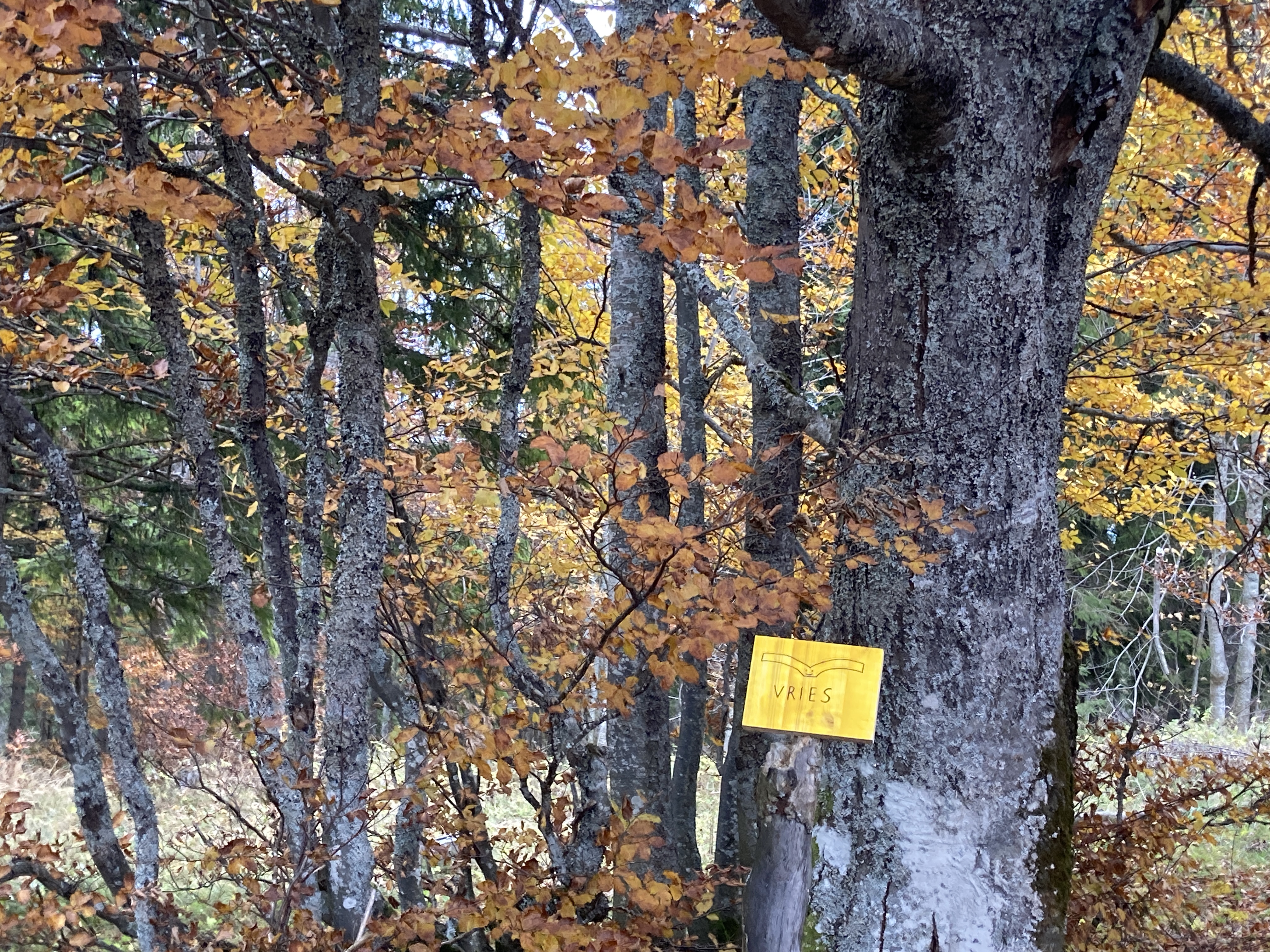 Pommes 260.2 Bürgeralpe Mariazell VRIES Soundinstallation Evamaria Müller, Marie Vermont